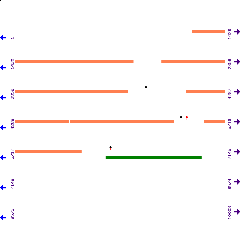 Genome View