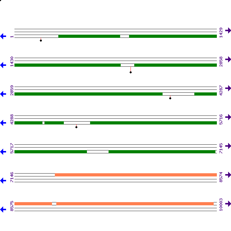 Genome View