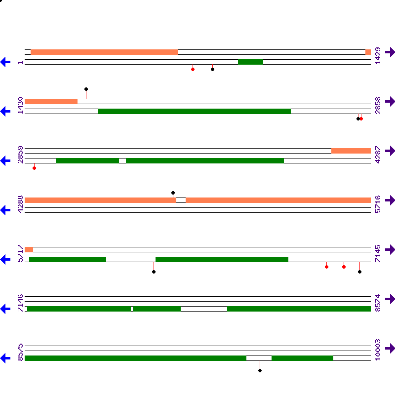 Genome View