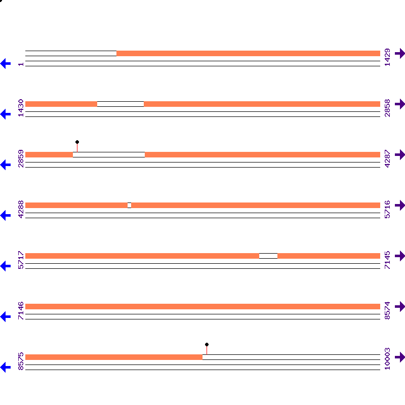 Genome View