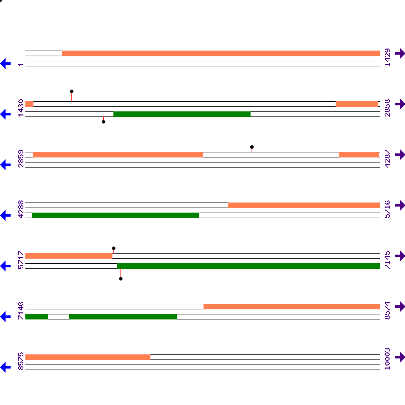Genome View