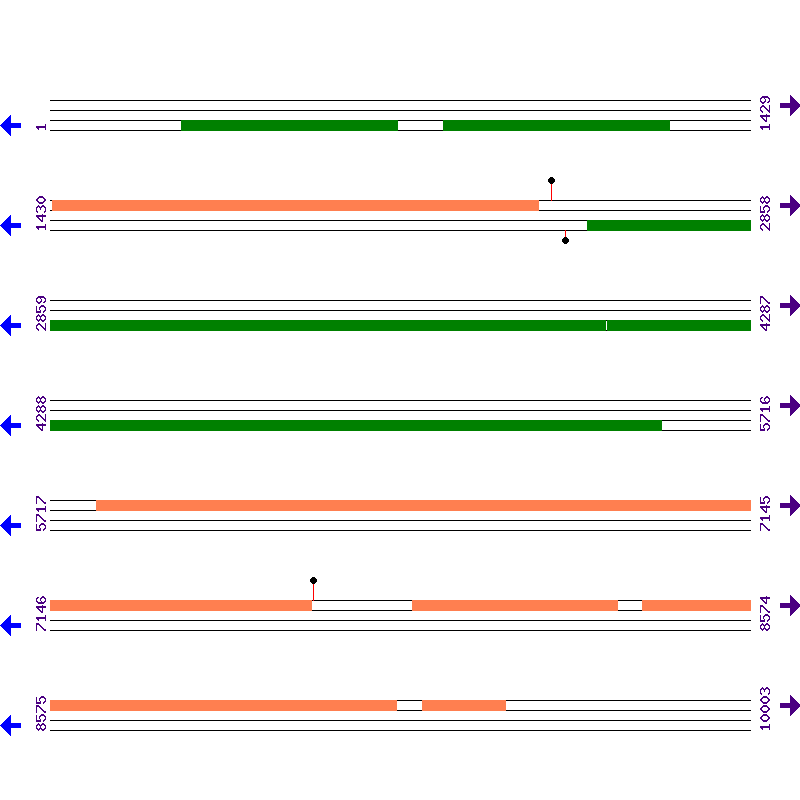 Genome View