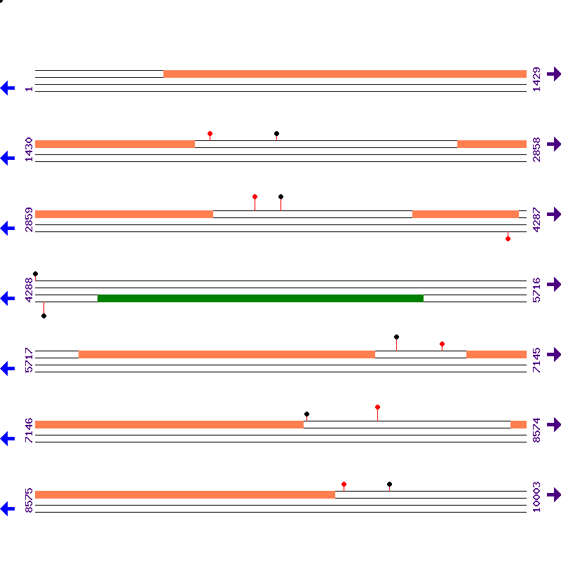 Genome View