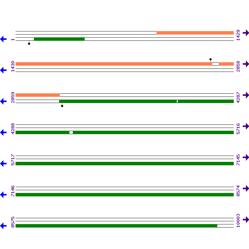 Genome View