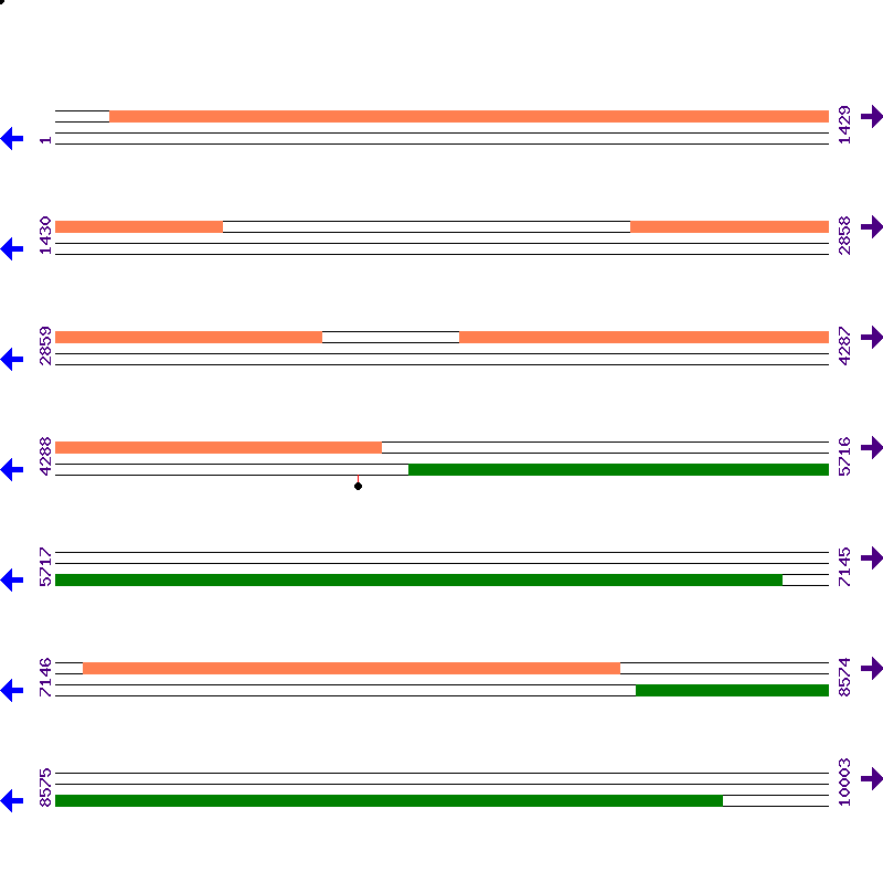 Genome View