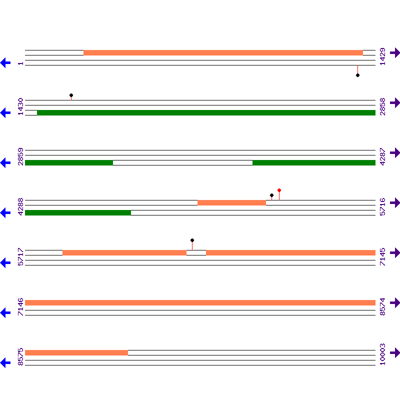 Genome View