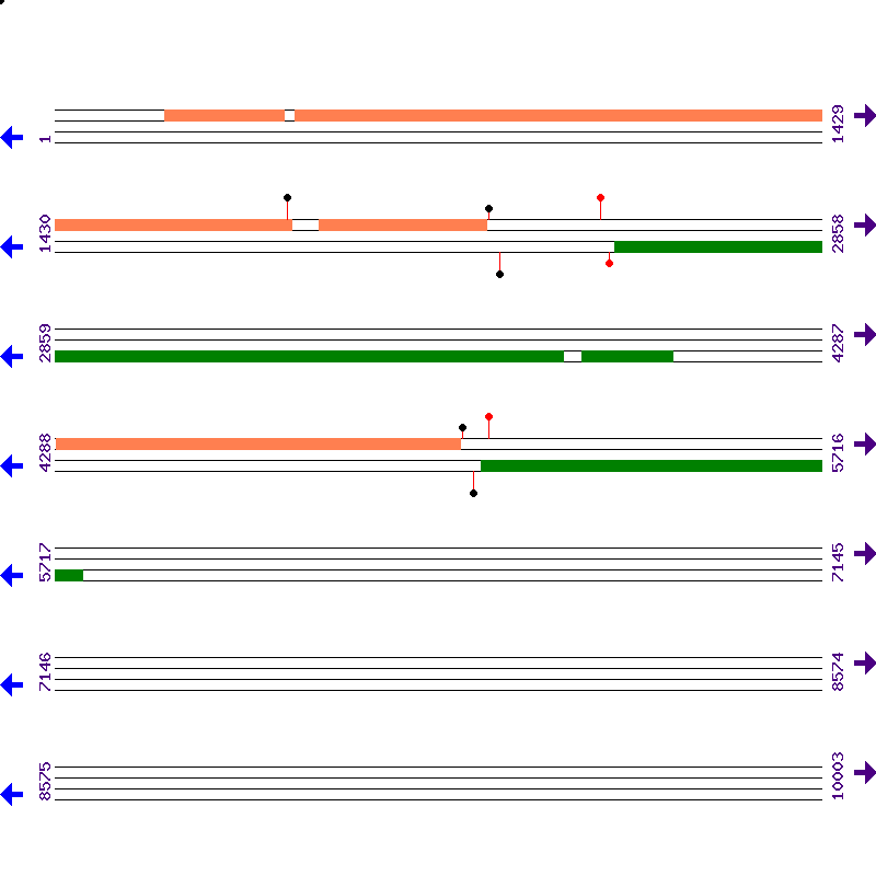 Genome View