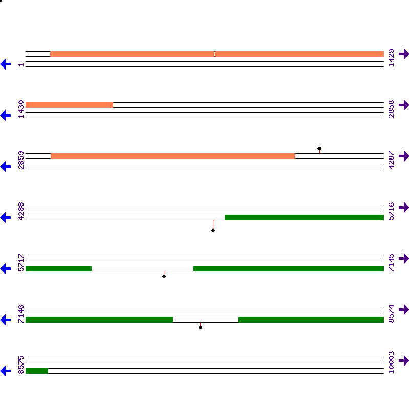 Genome View