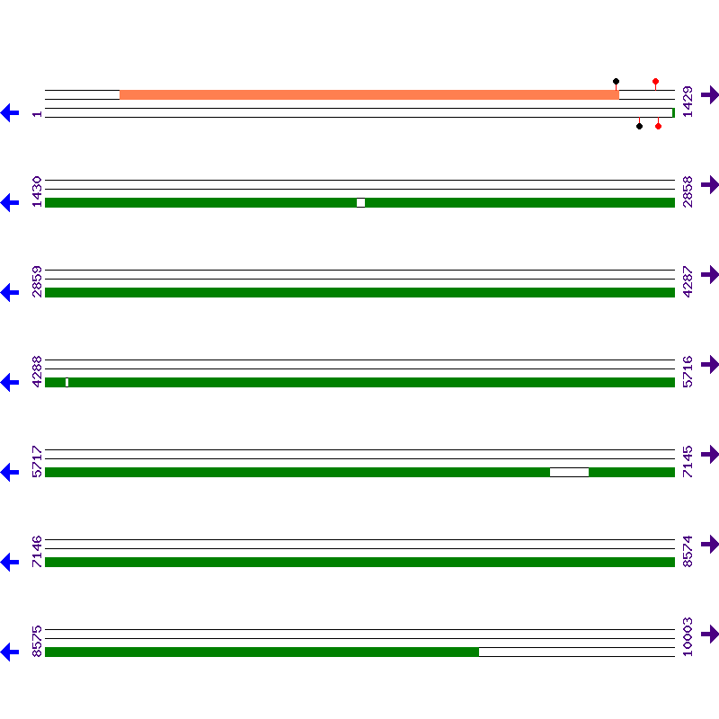 Genome View