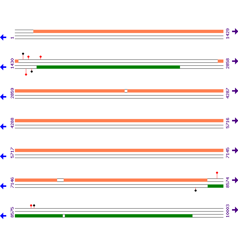 Genome View
