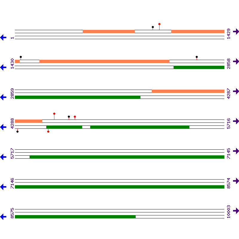 Genome View