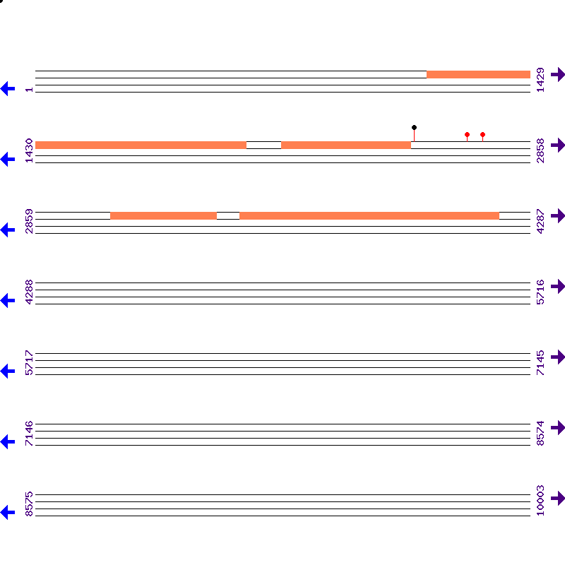Genome View