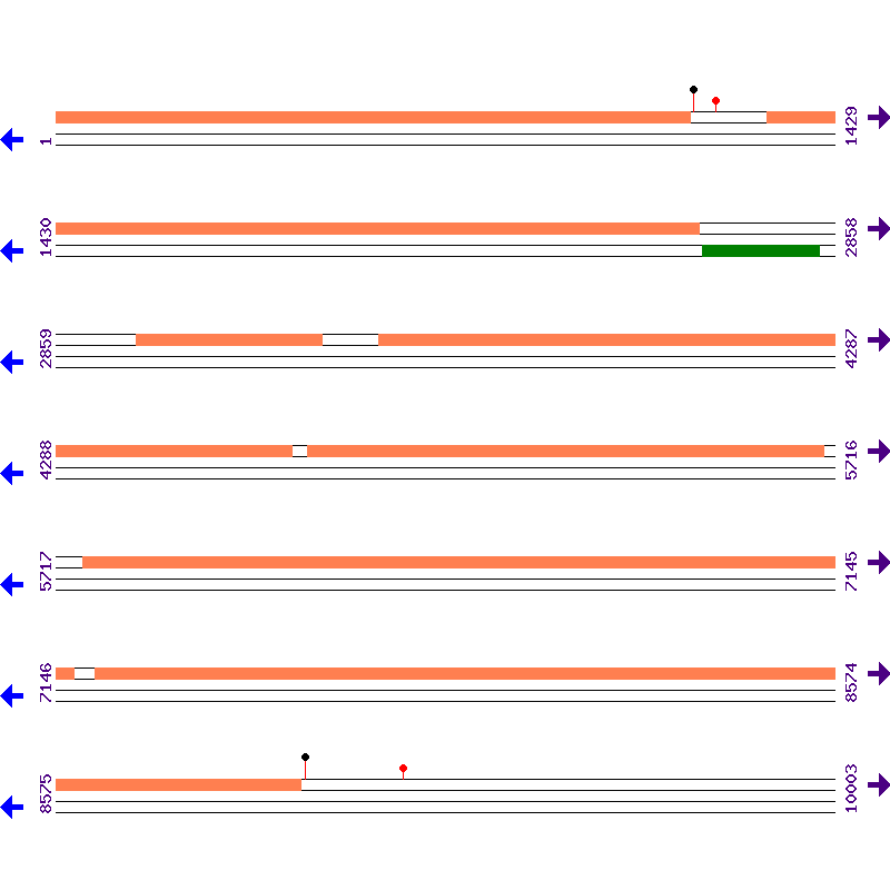 Genome View