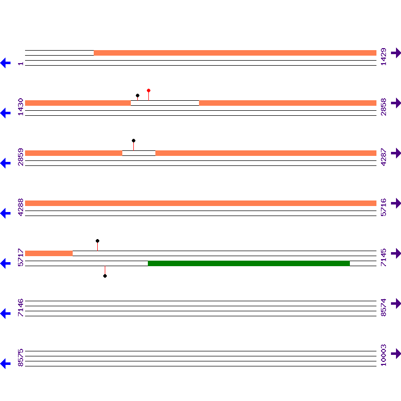 Genome View