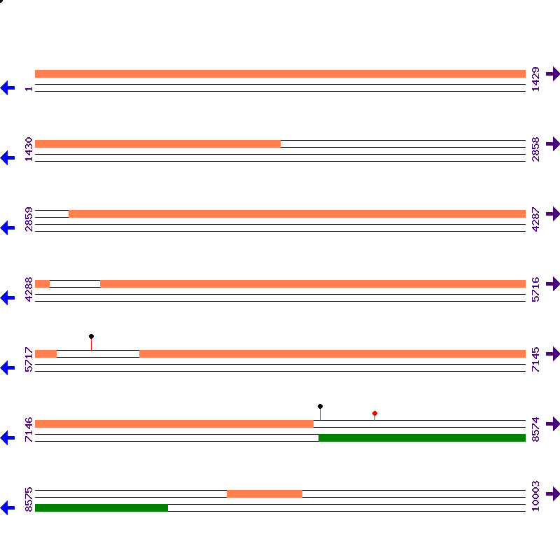 Genome View