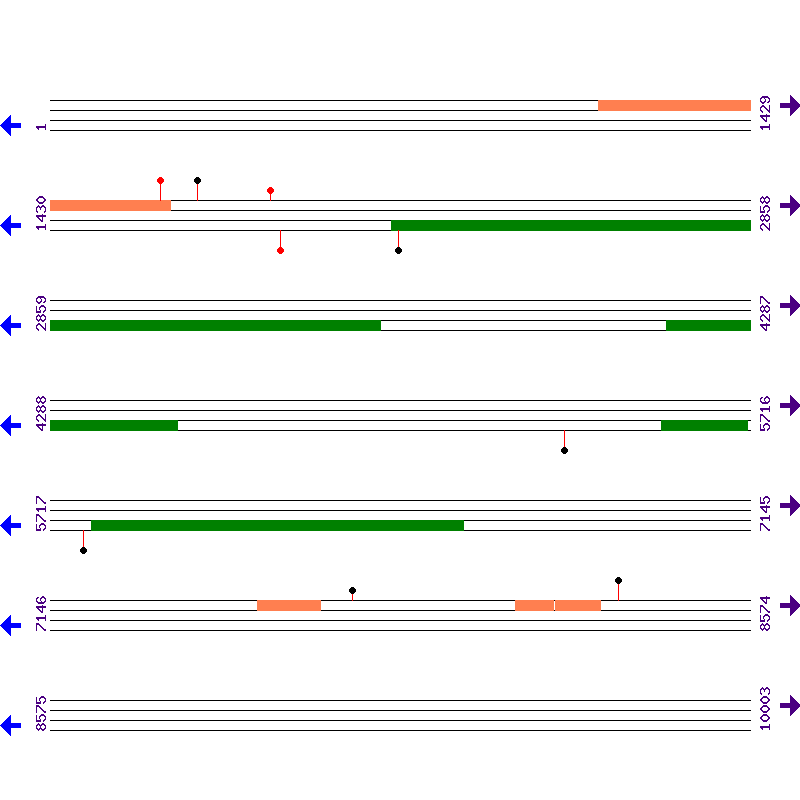 Genome View