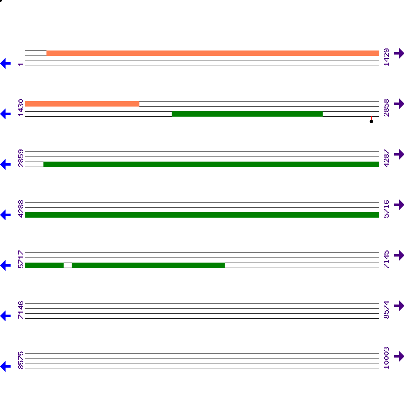 Genome View
