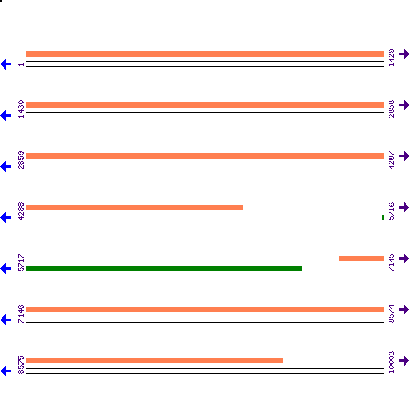 Genome View