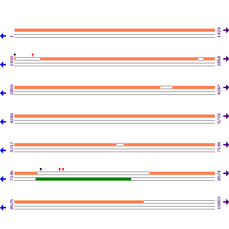 Genome View