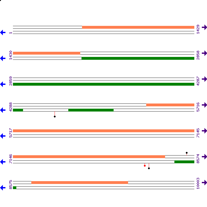 Genome View