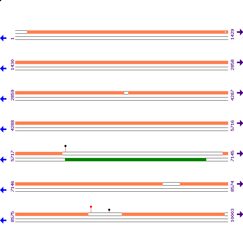 Genome View