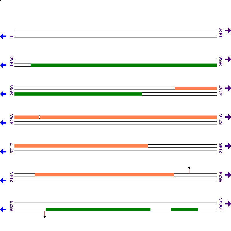 Genome View