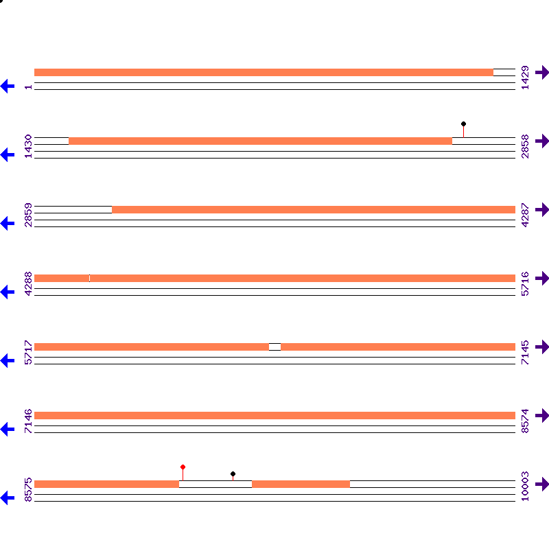 Genome View