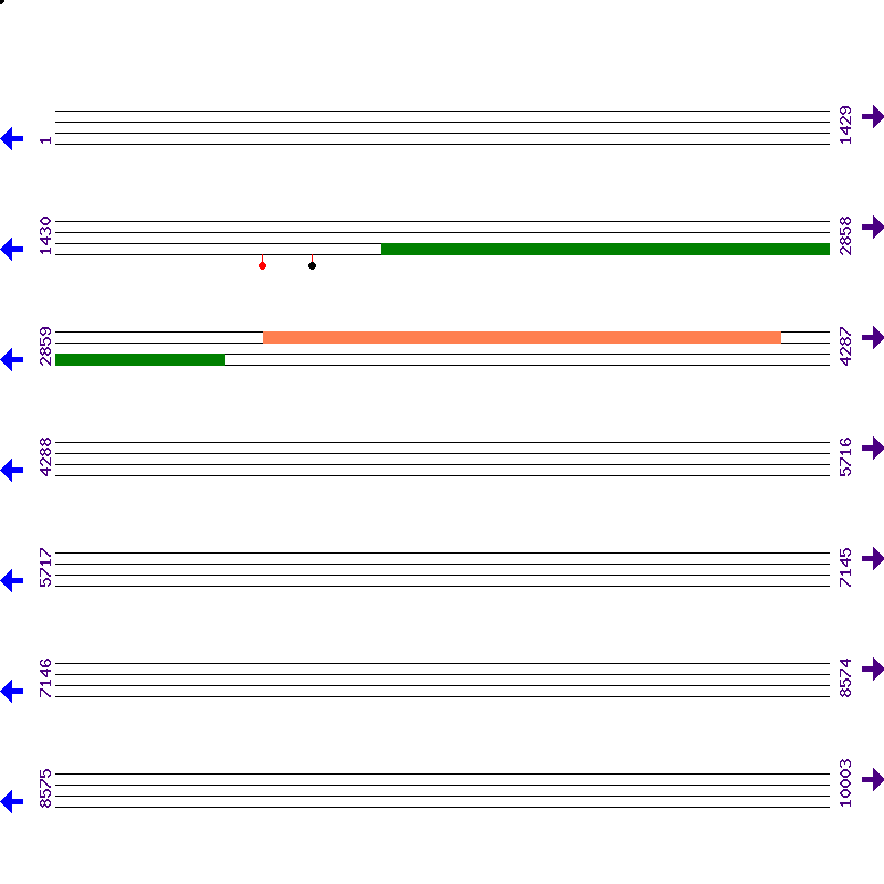 Genome View