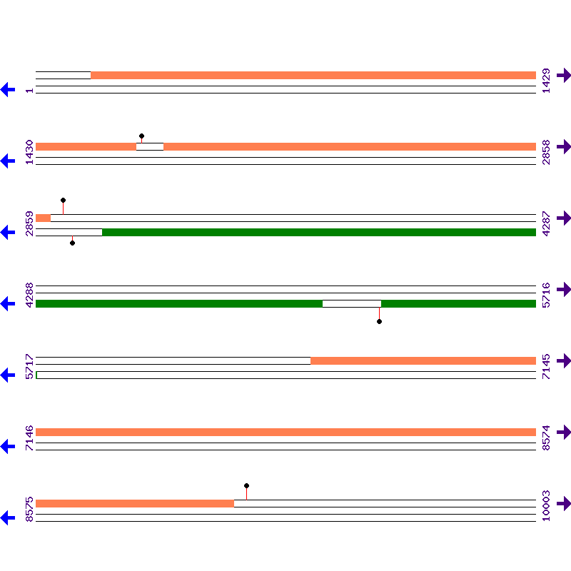 Genome View