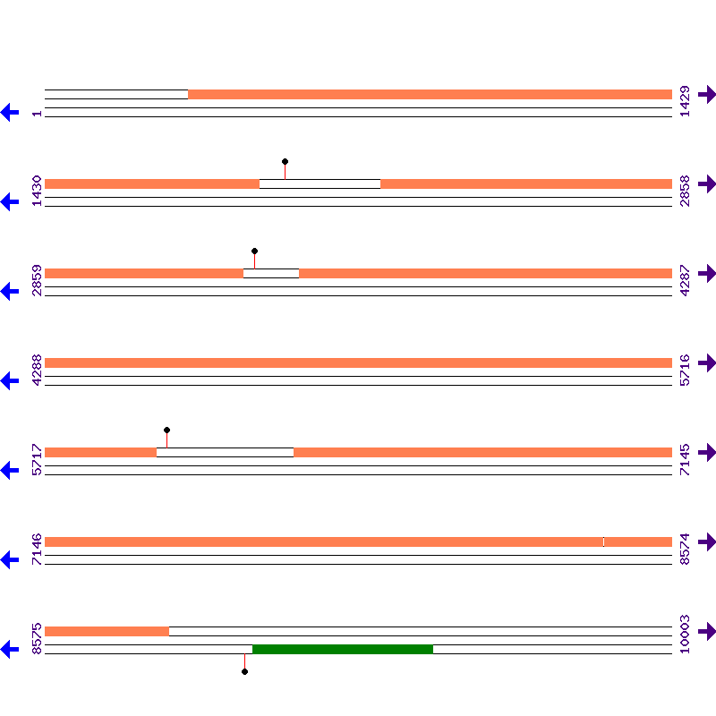 Genome View