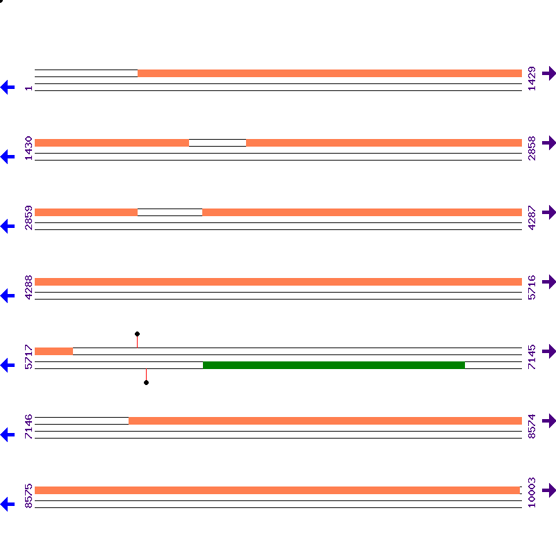 Genome View