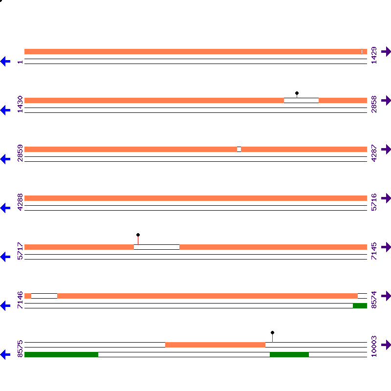 Genome View