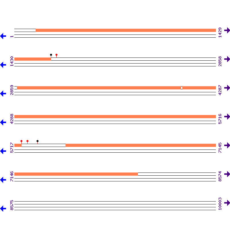 Genome View