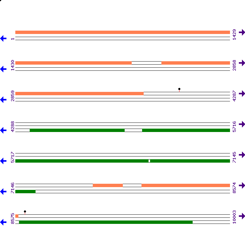 Genome View