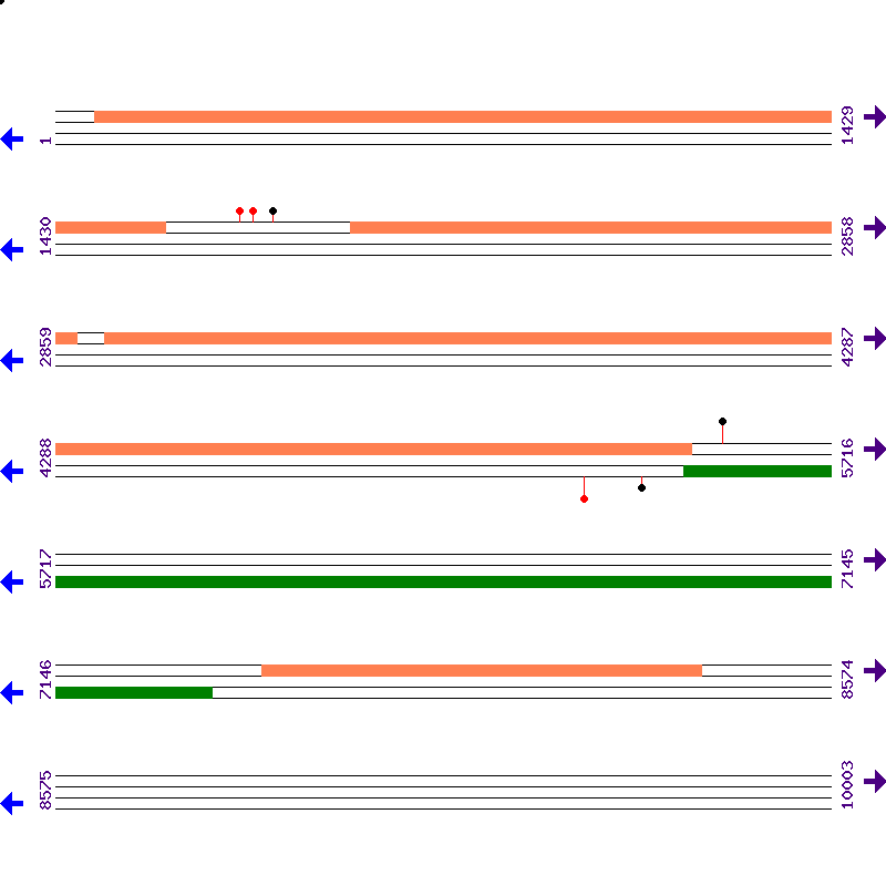 Genome View