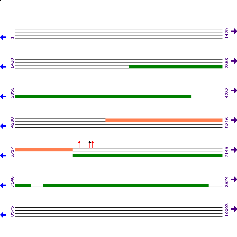 Genome View