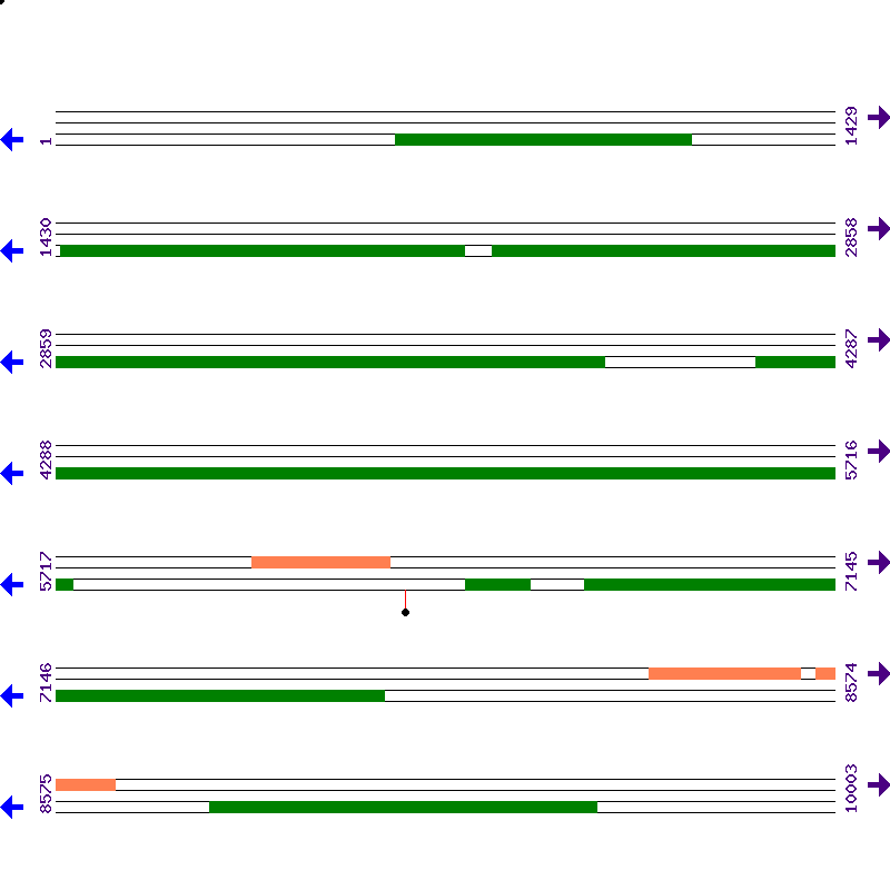 Genome View