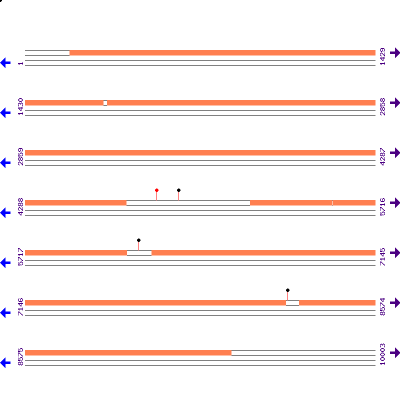 Genome View