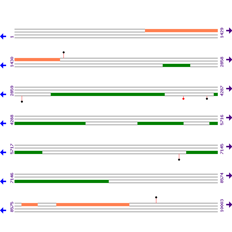Genome View