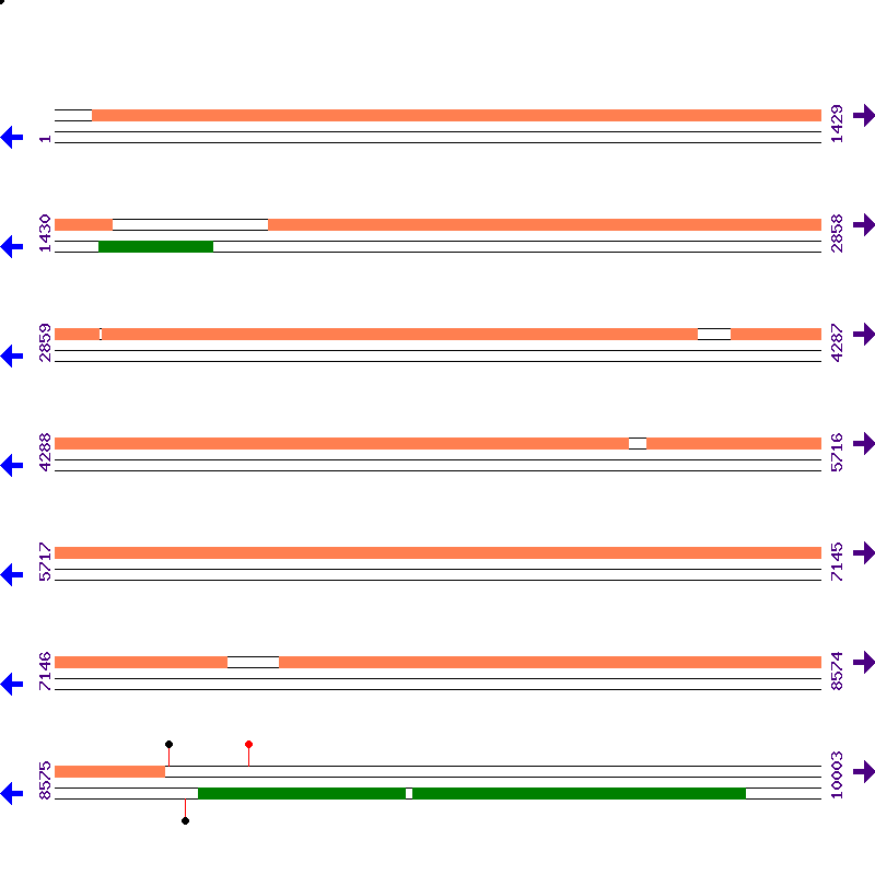 Genome View