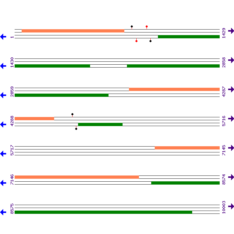 Genome View