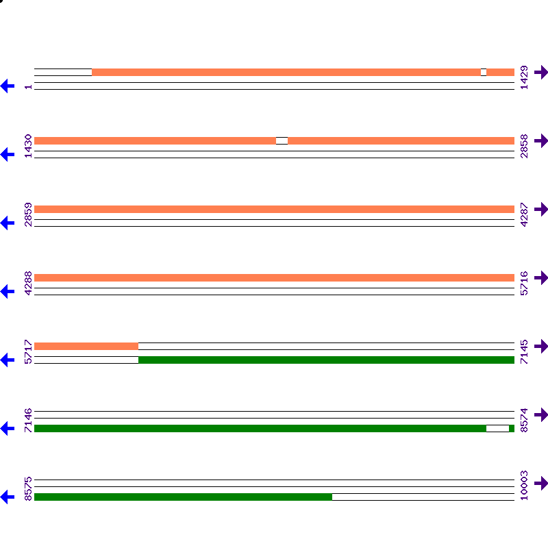 Genome View