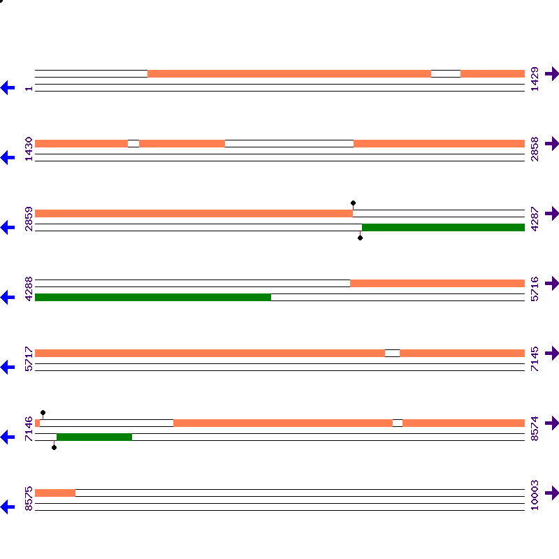 Genome View