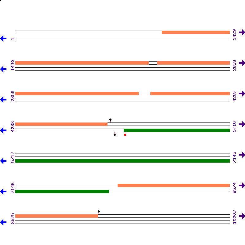 Genome View