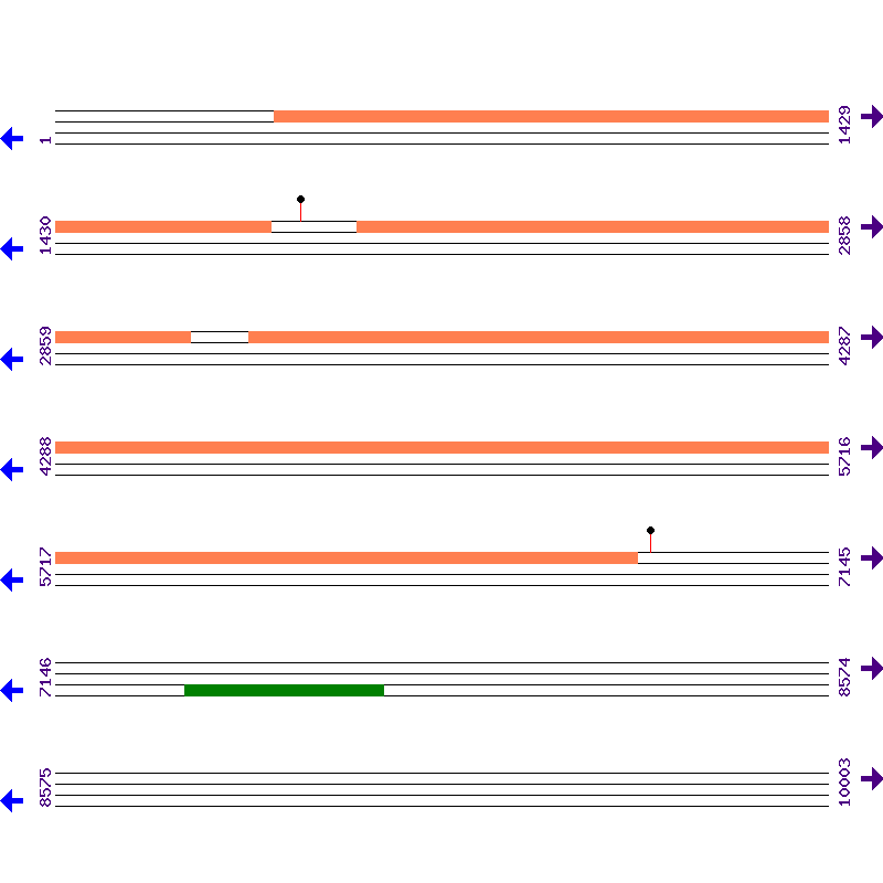 Genome View