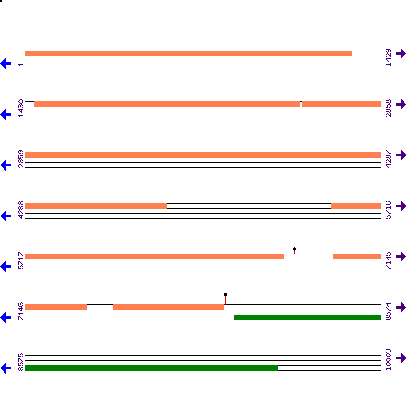 Genome View