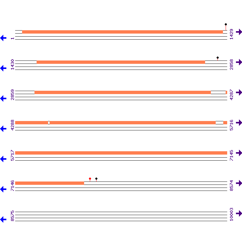 Genome View
