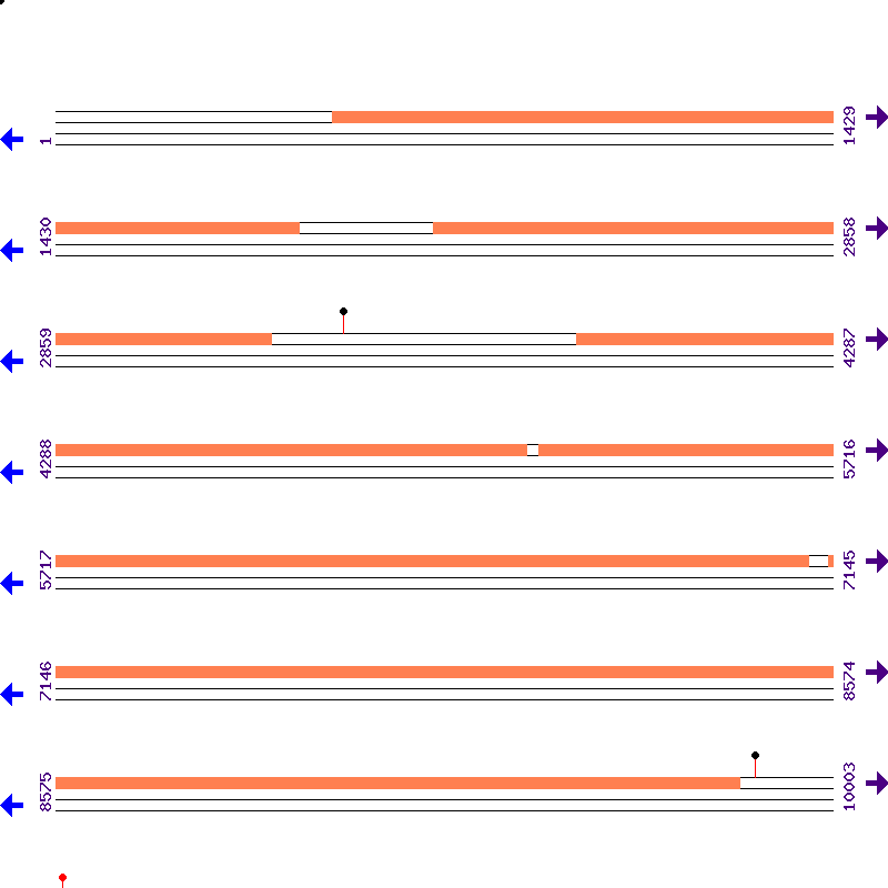 Genome View
