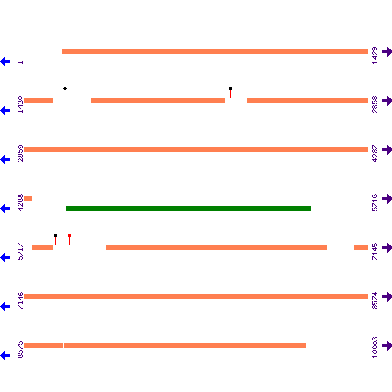 Genome View