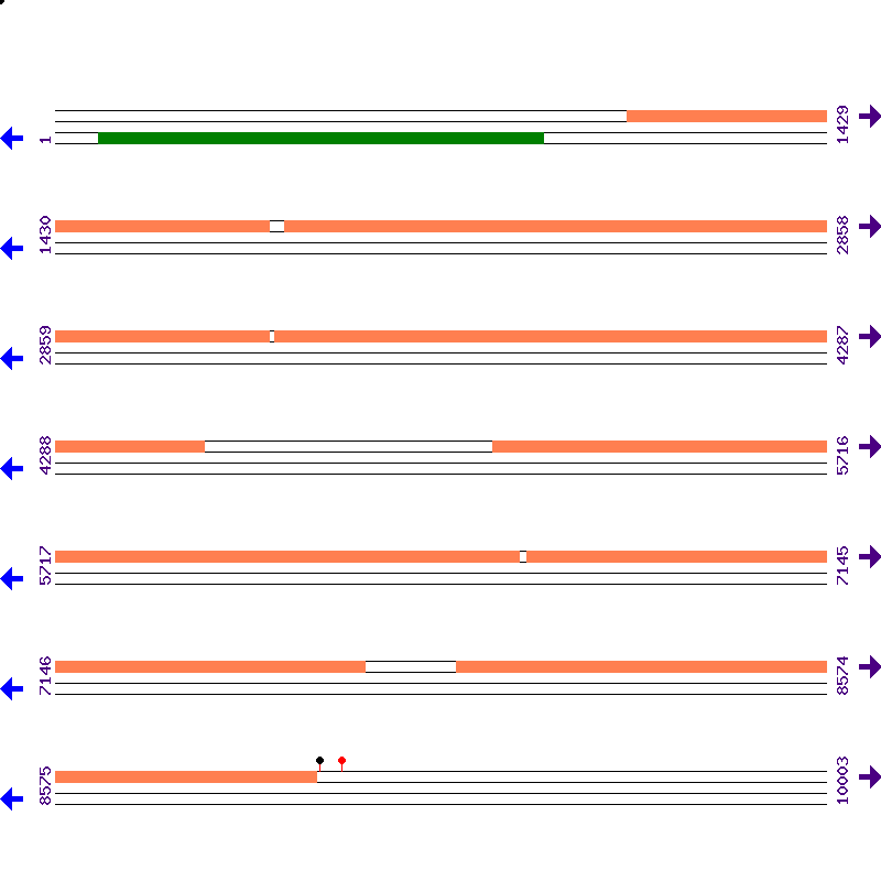 Genome View